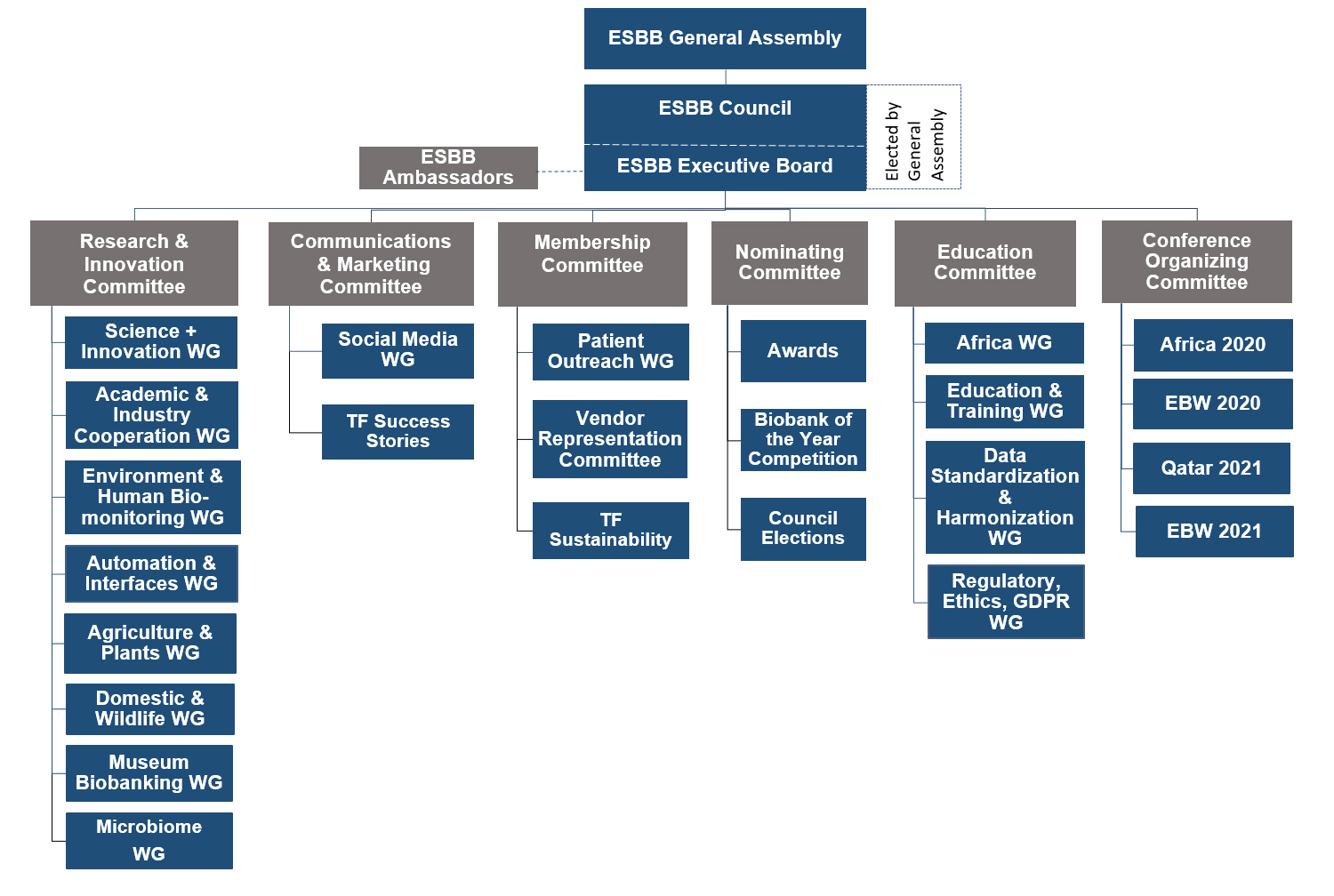 esbb governance structure